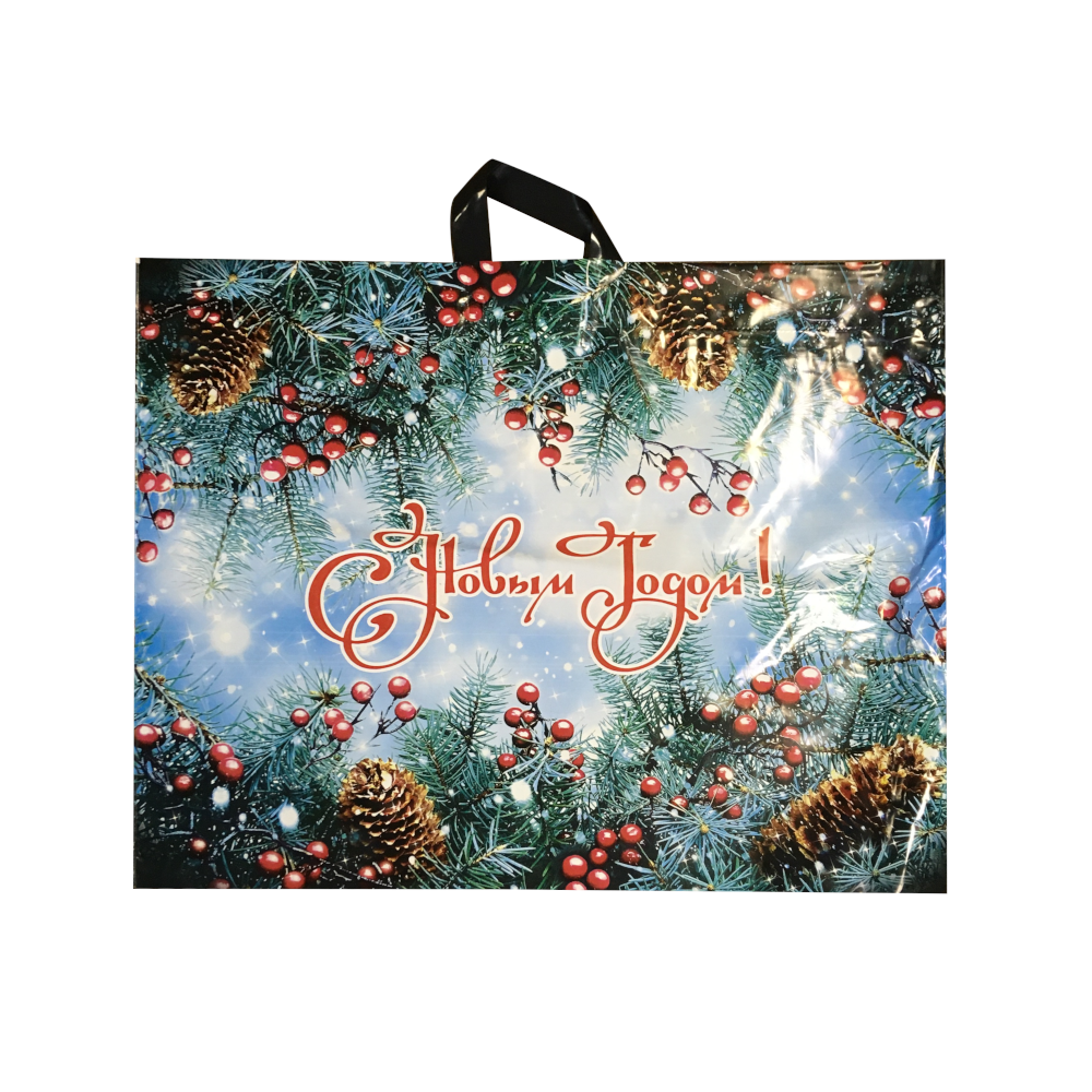 Пакет полиэтиленовый «Голубая ель», ПВД, 71×55 см