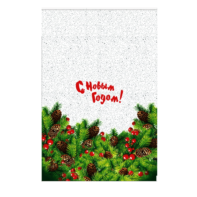 Пакет полипропиленовый с рисунком «Еловый микс», 64×98 см, 25 мкм