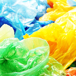 Борьба с полиэтиленовыми пакетами