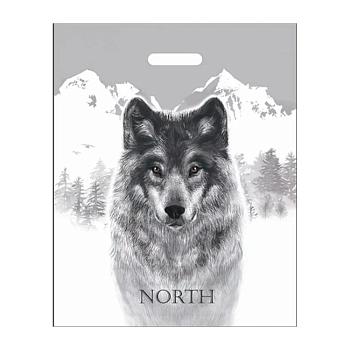 Пакет полиэтиленовый «Север», ПВД, 40×50 см