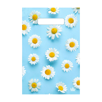 Пакет полиэтиленовый «Ромашковый дождик», ПВД, 20×30 см