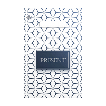 Пакет полиэтиленовый «Презент стиль», ПВД, 20×30 см