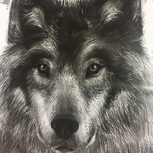 Пакет полиэтиленовый «Север», ПВД, 40×50 см